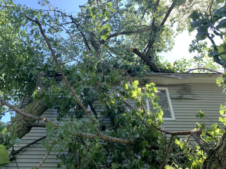 24:7 Emergency Tree Service Lake Bluff IL