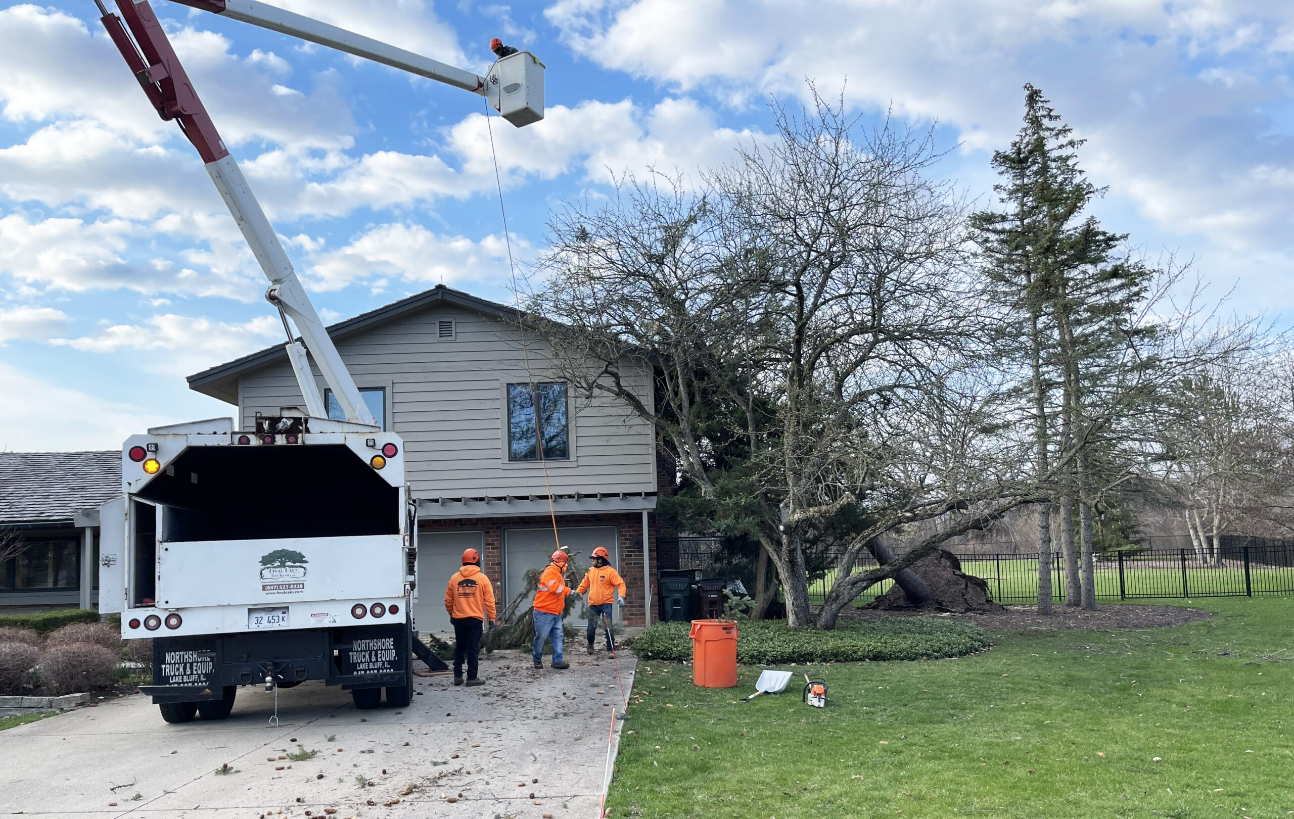 Lake Bluff IL Tree Services