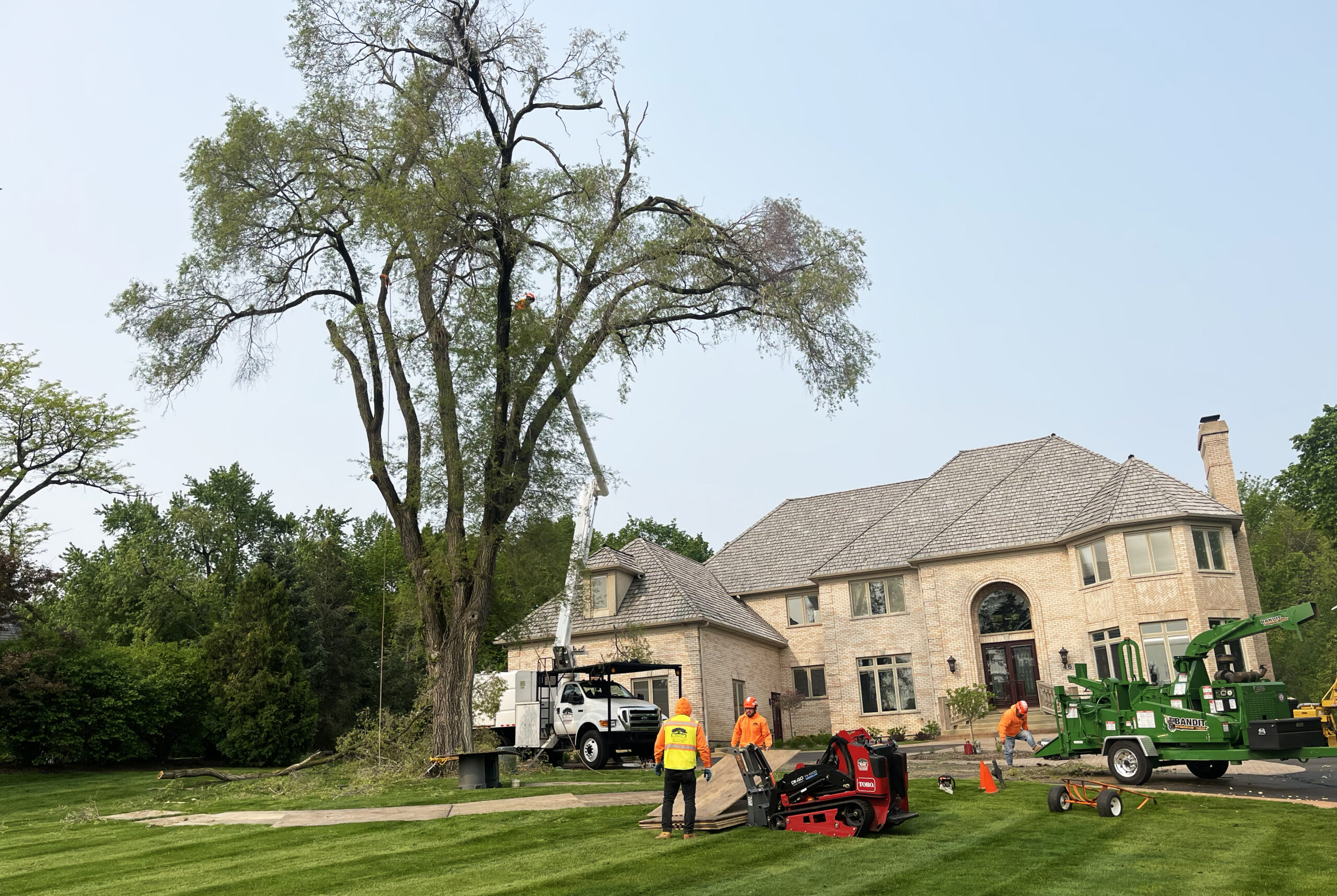 lake bluff il tree service company
