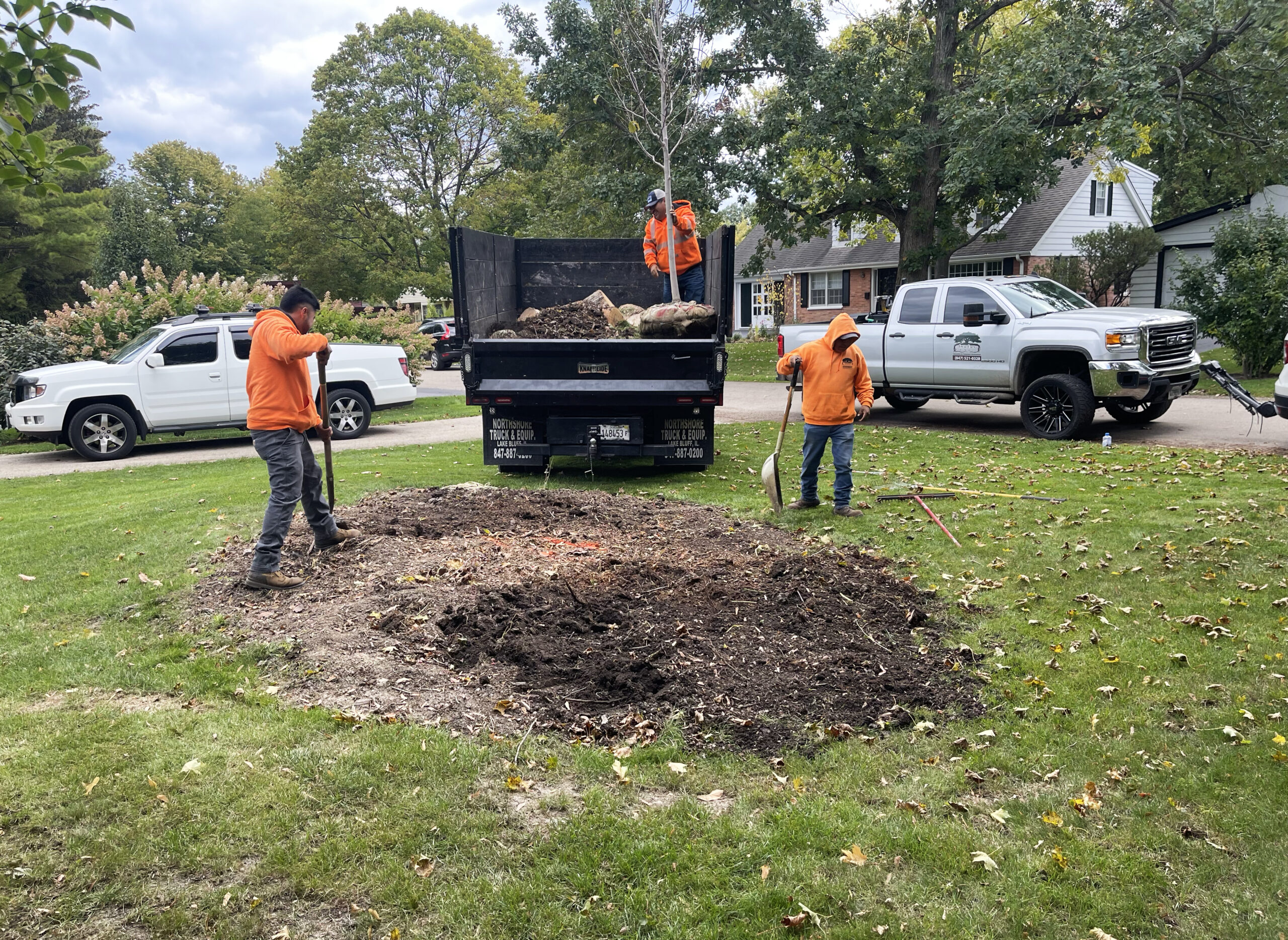 lake bluff il stump grinding
