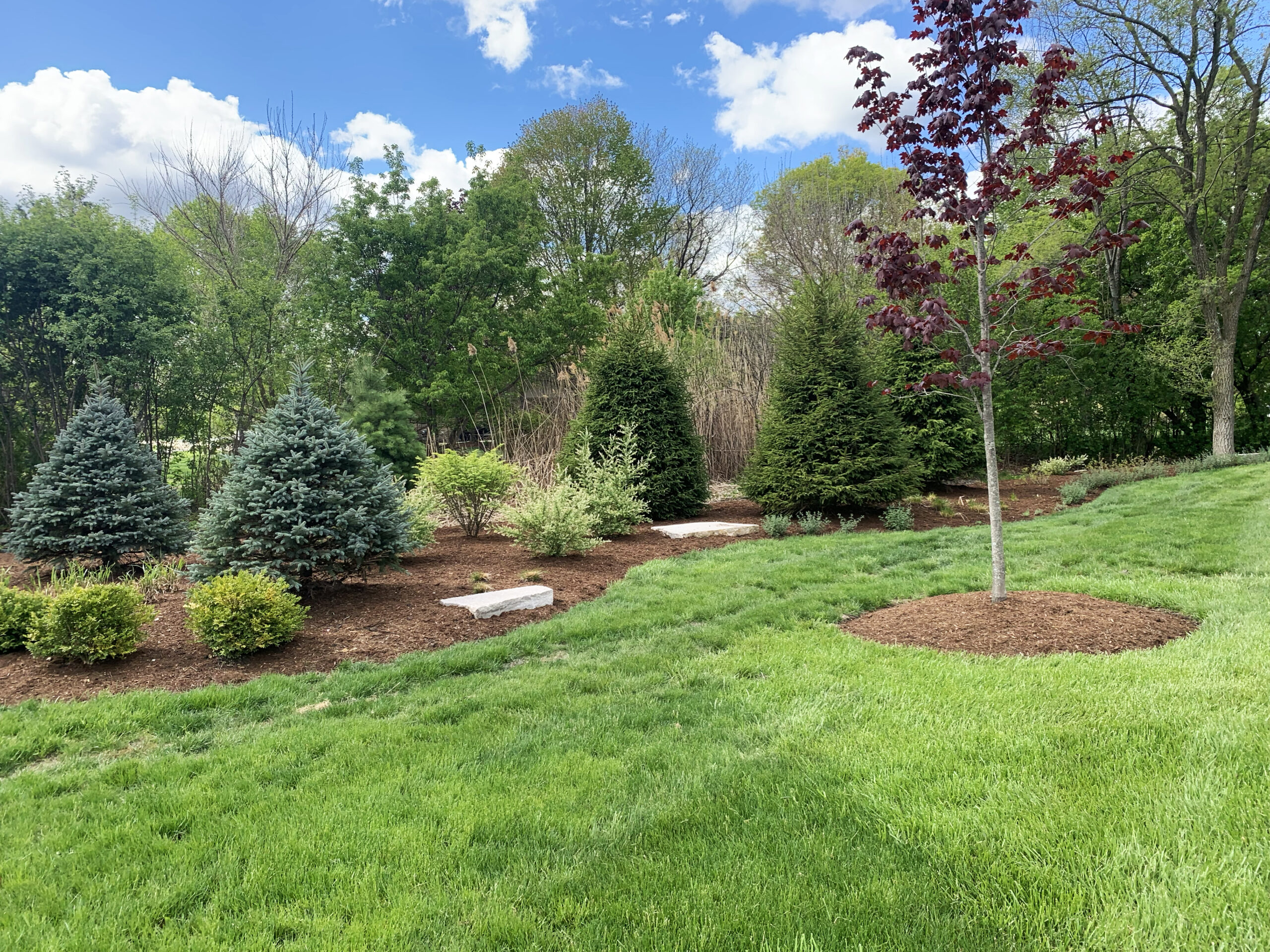 softscaping lake buff il