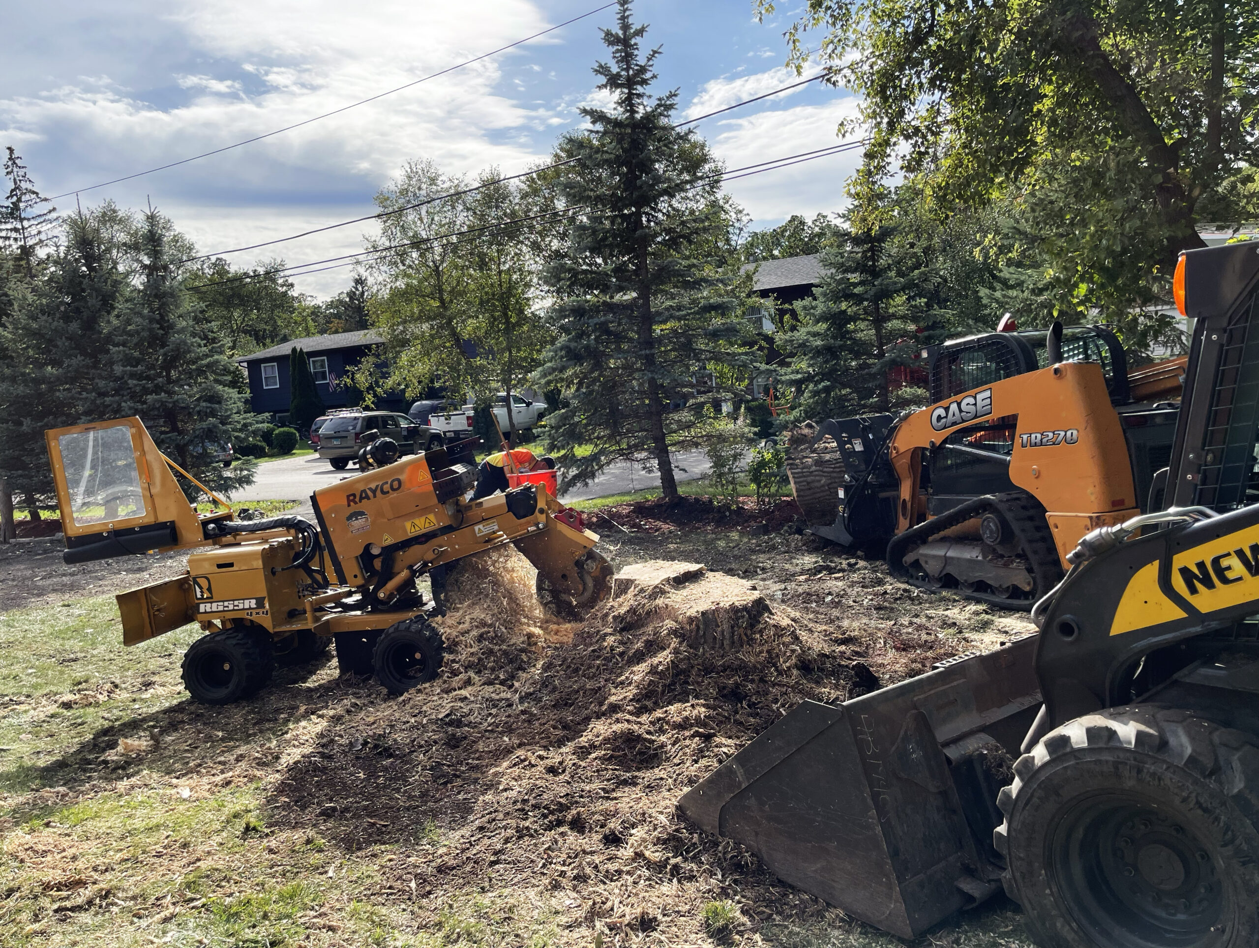 stump grinding service lake bluff il