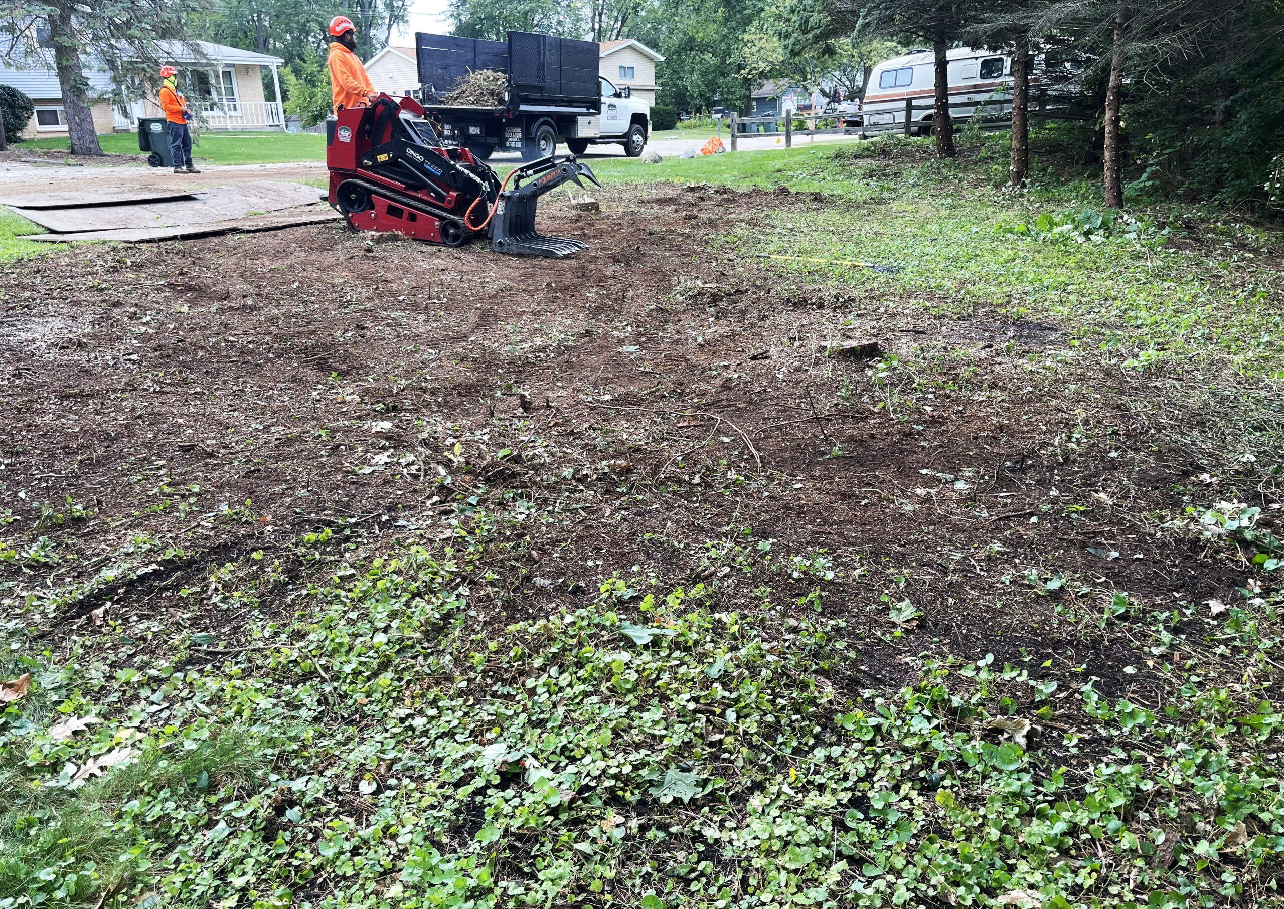 stump removal lake bluff il copy