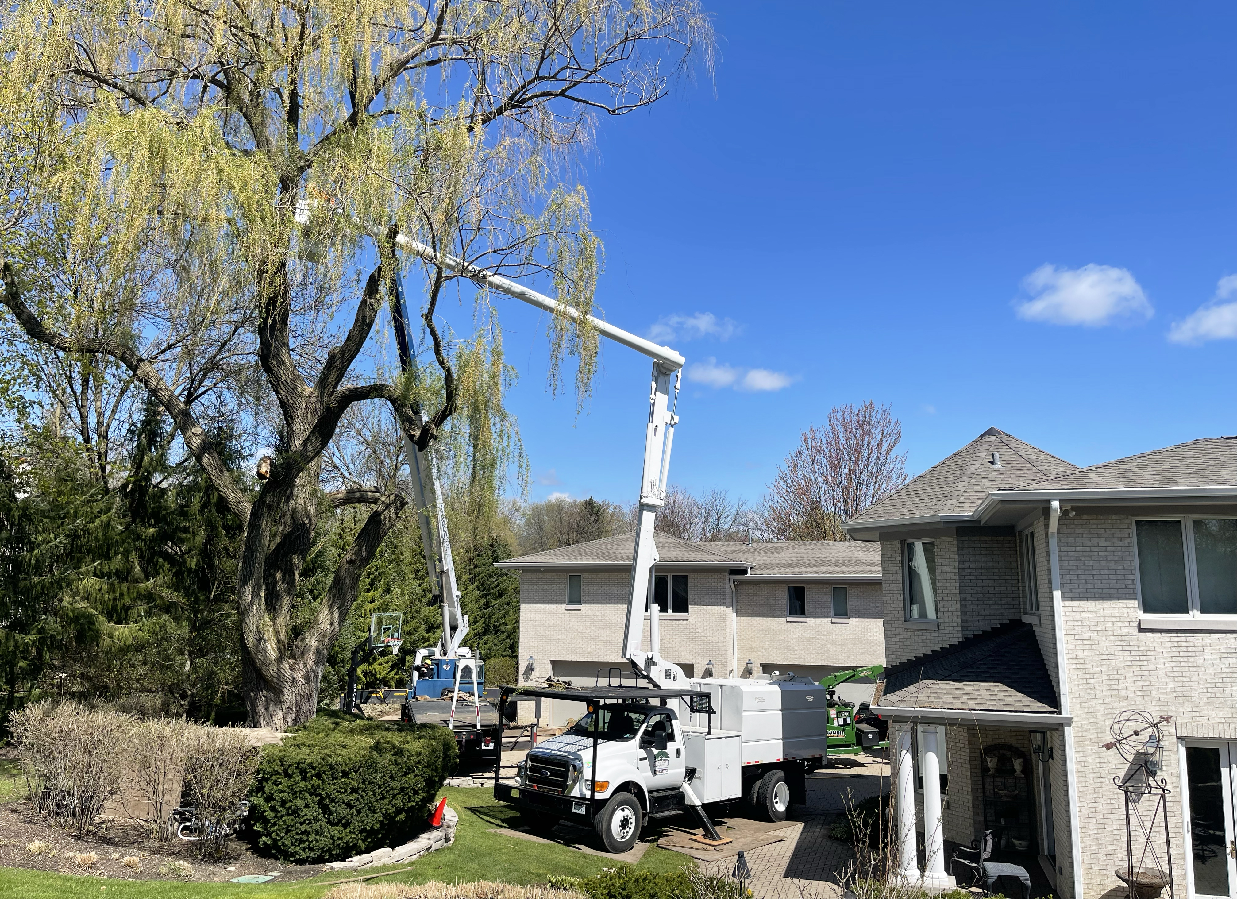 best tree service deerfield il