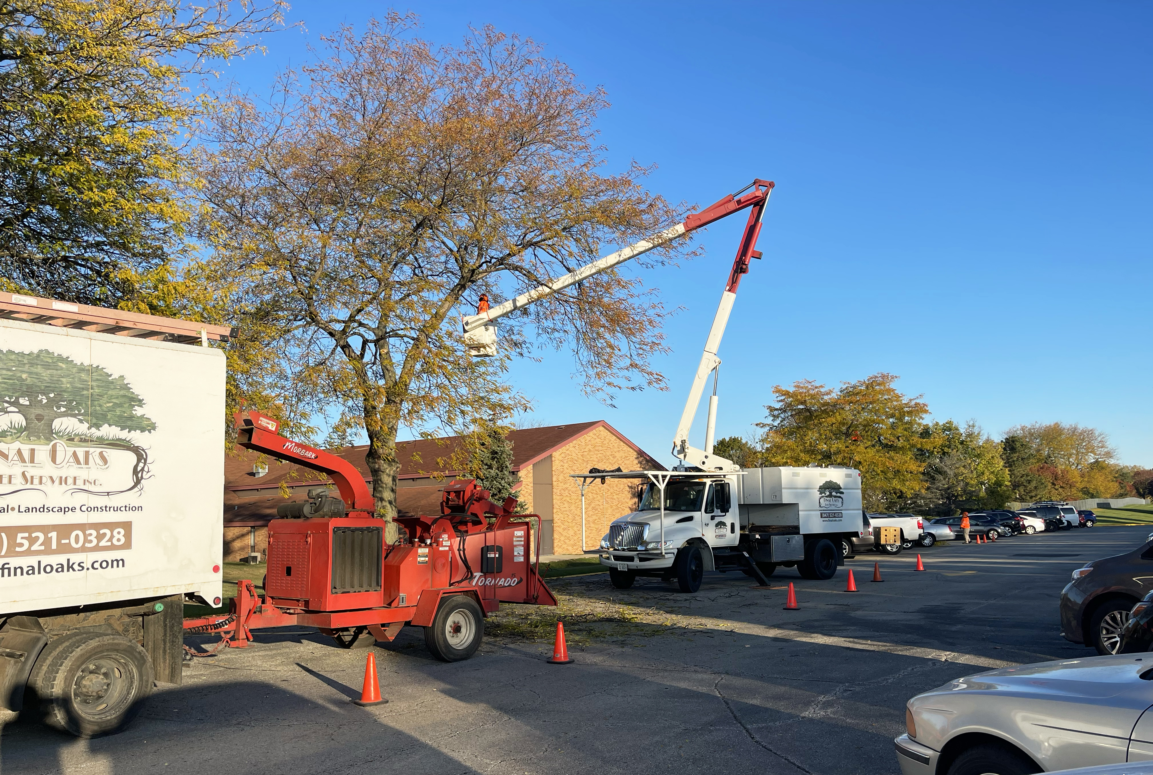 tree service winnetka il