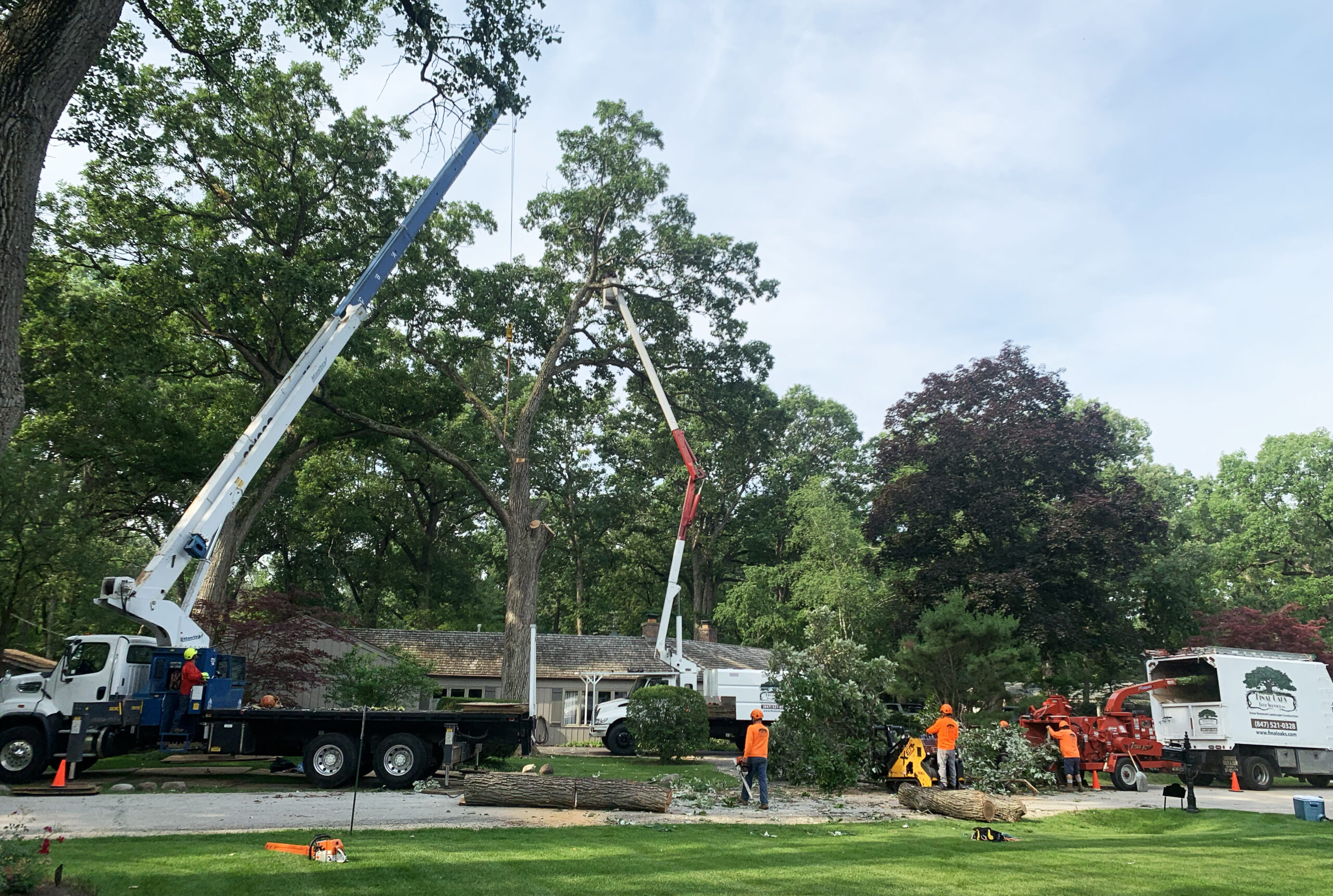 wilmette il tree removal